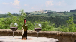 The Best View San Gimignano Apartments San Gimignano